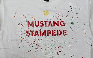 Mustang Stampede - article thumnail image